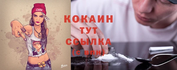 ALPHA-PVP Инсар