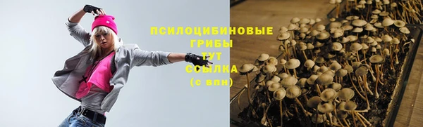 стаф Зеленокумск