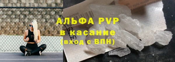стаф Зеленокумск