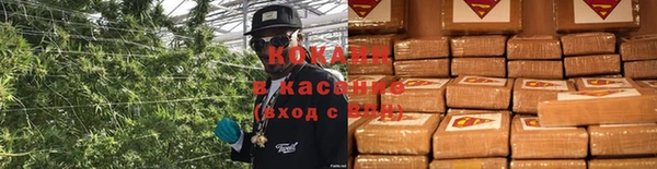стаф Зеленокумск