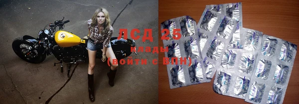 стаф Зеленокумск